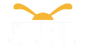 logo the bees 3